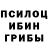 Псилоцибиновые грибы мухоморы IGOR MYAGKOY