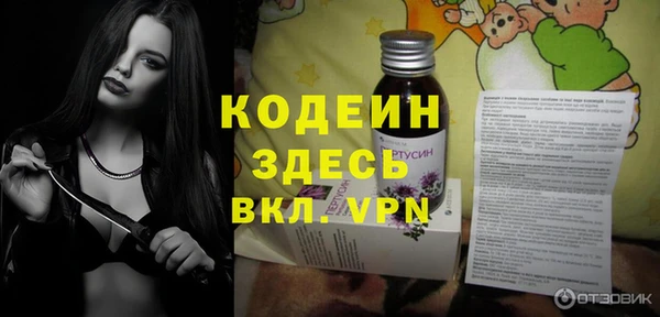 крисы Бородино