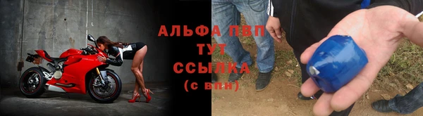 СК Волоколамск