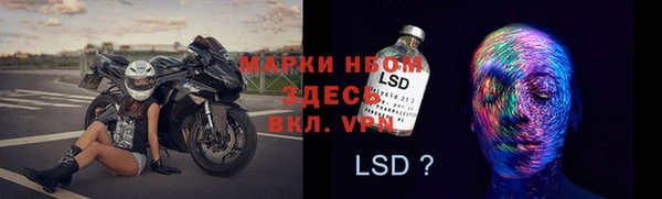 СК Волоколамск