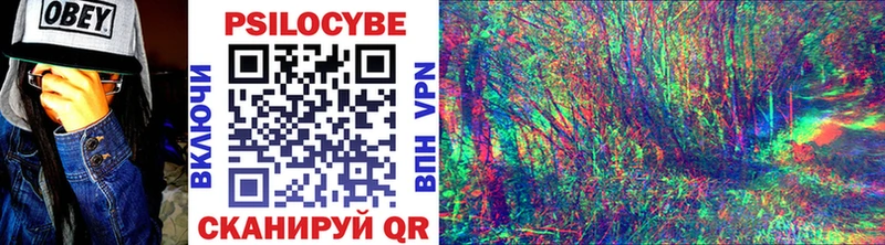 Купить где  Лысково  Псилоцибиновые грибы Cubensis 